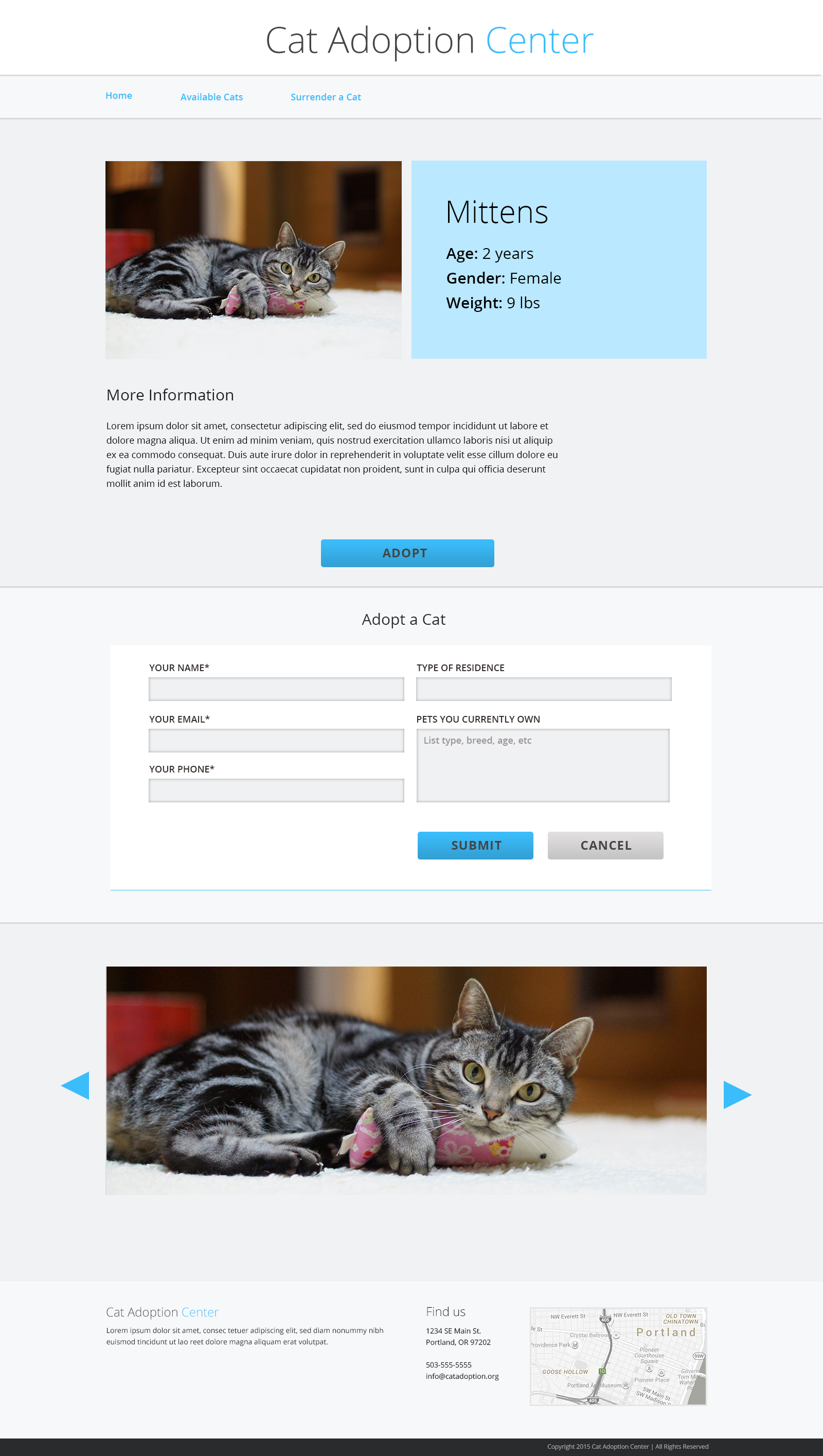 cat-adoption-page-form-open-v1